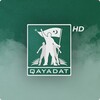 月夜视频大全播放器